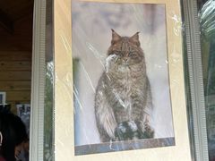 -青藏高原野生动物园