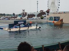 -秦皇岛乐岛海洋王国