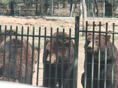 -秦皇岛野生动物园