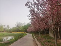 -开口笑·精选水饺