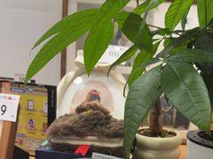 -海马体家庭照相馆(深圳笋岗万象食家家庭店)