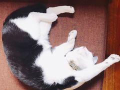 -猫的天空之城概念书店(杭州南宋御街店)