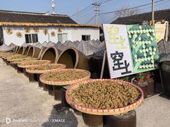 -苏州市吴中区光福窑上花果蜜饯厂