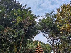 -西双版纳勐泐文化旅游区