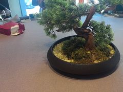 -百富源·海鲜辽菜(浑河堡店)
