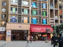 -滚猫咖啡·猫咖·猫友好撸猫(未来城店)