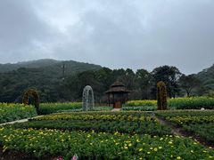 -广州市石门国家森林公园