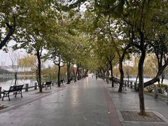 -东山湖公园