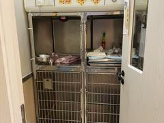 -爱妮康宠物医院·干细胞免疫细胞·肿瘤·心脏(张江店)