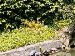 -宁波市保国寺古建筑博物馆