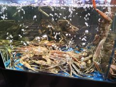 -蟹之国·精品蟹料理(极地店)