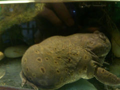 android_upload_pic-上海大自然野生昆虫馆