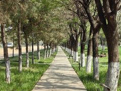 -汉长安城未央宫国家考古遗址公园