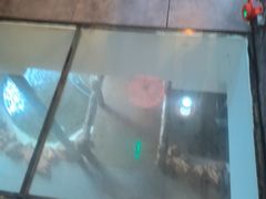 -缘福乡村铁锅炖民宿(八达岭店)