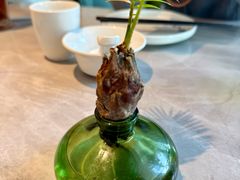 -陶兰居·手工点心·粤菜(圆融时代广场店)