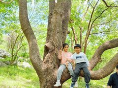 -池州市平天湖风景区
