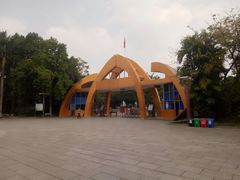 -金花茶公园