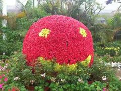 -广东花都香草世界旅游度假区