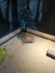 -酷嗒动物文化乐园(cutezoo西溪乐天城店)