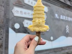 -观潮胜地公园