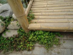 景点-观光南瓜园