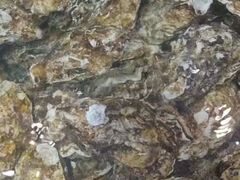 -臻悦海宴.家宴(奥体中心店)