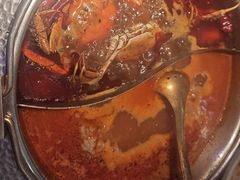 -牛New寿喜烧(金鹰世界店)