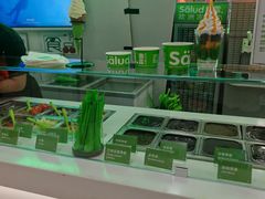 -Salud撒露欧洲冻酸奶(五道口购物中心店)