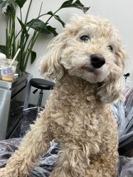 -Hair Co.一间沙龙