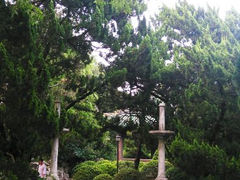 android_upload_pic-叶家花园