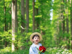 -黄海国家森林公园