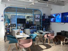 -上海潜殿潜水中心