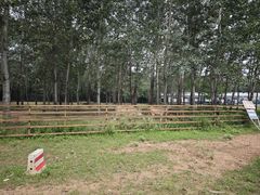 -秦皇岛野生动物园