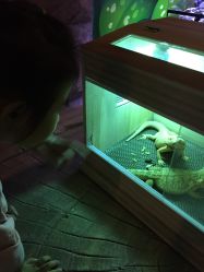 -酷嗒动物文化乐园(cutezoo西溪乐天城店)