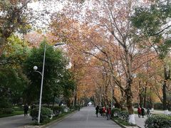 -四川大学(望江校区)