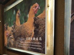 -云海肴·汽锅鸡·云南菜(天津国金汇店)