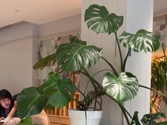 -一尺花园(安和花园店)