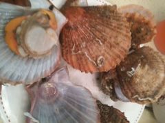android_upload_pic-鑫海汇海鲜烤肉自助(北国商城店)