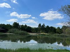-长广溪湿地公园