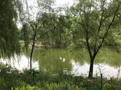 -北京张裕爱斐堡酒庄