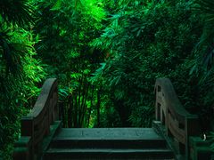 -望江楼公园