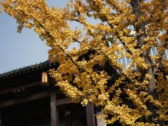 -香积寺