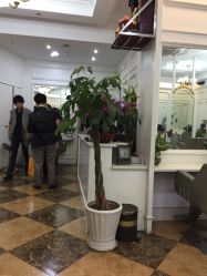 UPTOP鼎上造型(鄞州万达店)-UPTOP鼎上造型