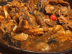 -老板恋上鱼(恒隆广场店)