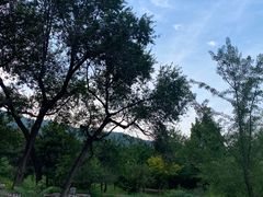 -北京西山国家森林公园