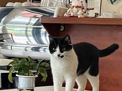 -路易时光(蕴川路店)