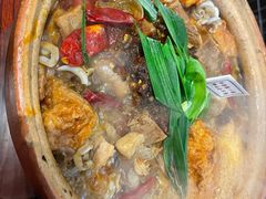 -沙胆彪炭炉牛杂煲(成都玉林店)
