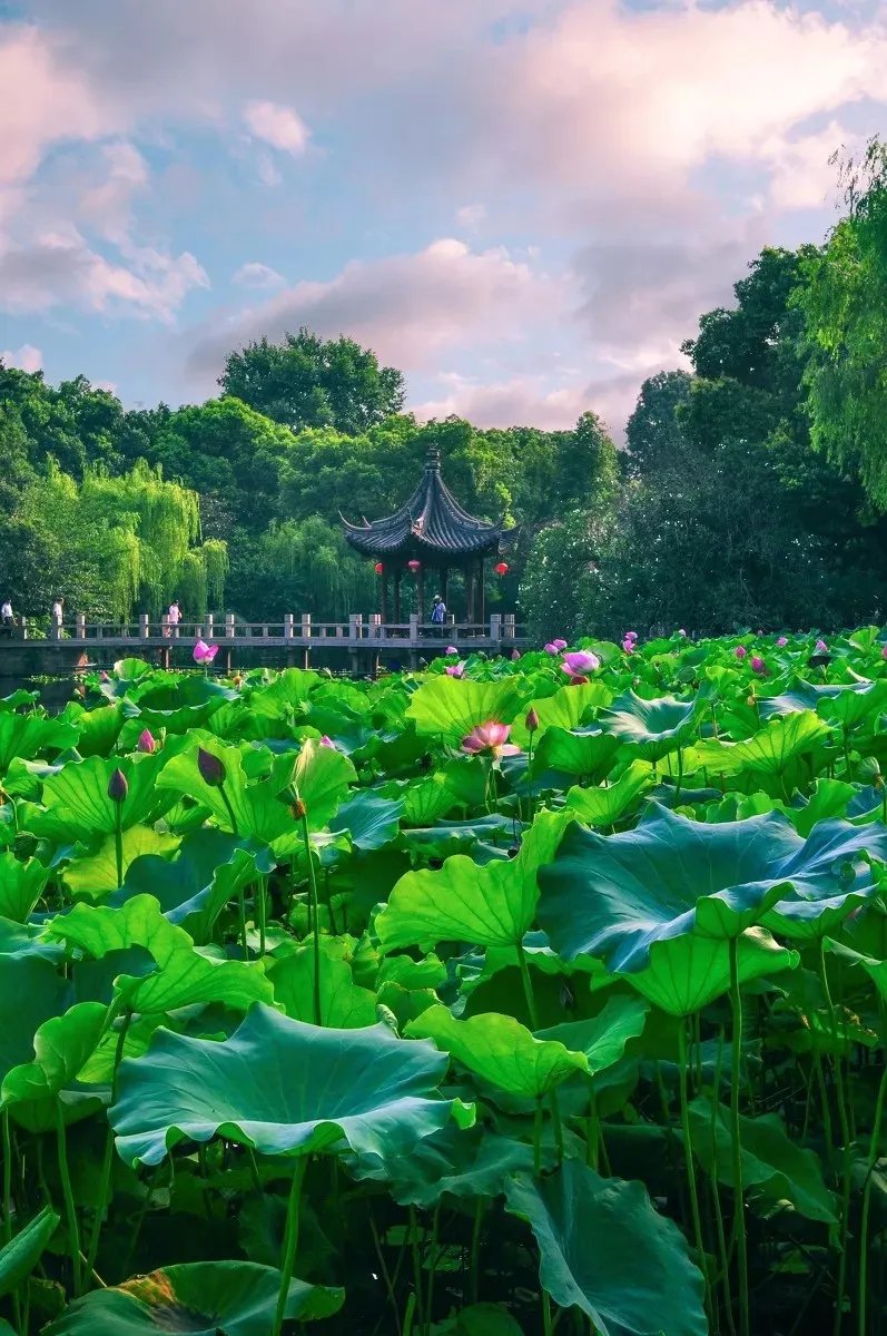 现代诗《夏天》