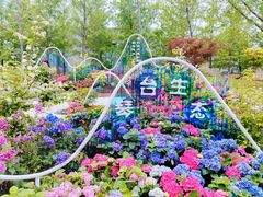 -武汉园博园(武汉自然博物馆)