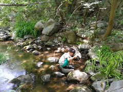 -碓臼峪自然风景区